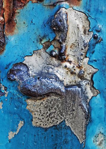 Sea Lions Hanging Out