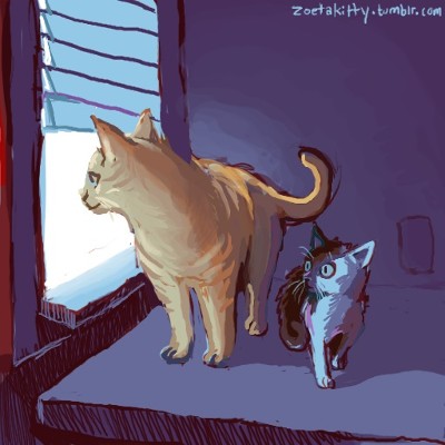 Lunar Eclipse Kitties