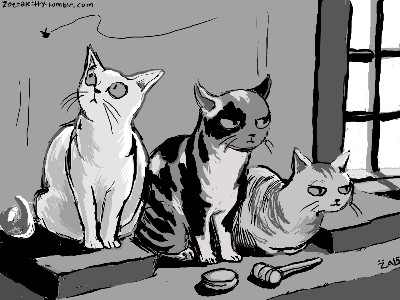 Judge Kitties
